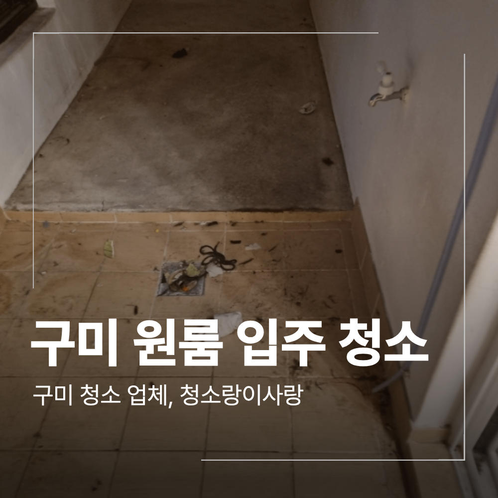 구미 원룸 입주 청소 반려동물 털 제거 후기